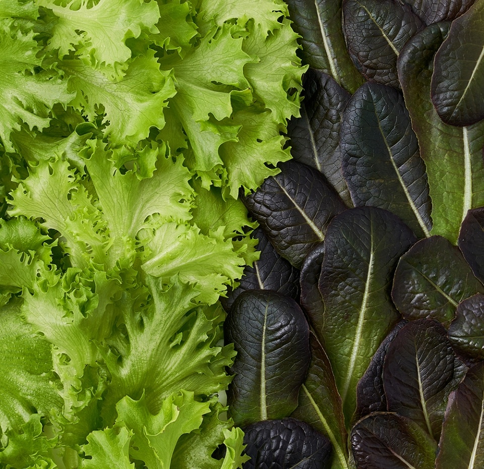 

Микс салатов Ferмы листовых в срезе 75 г