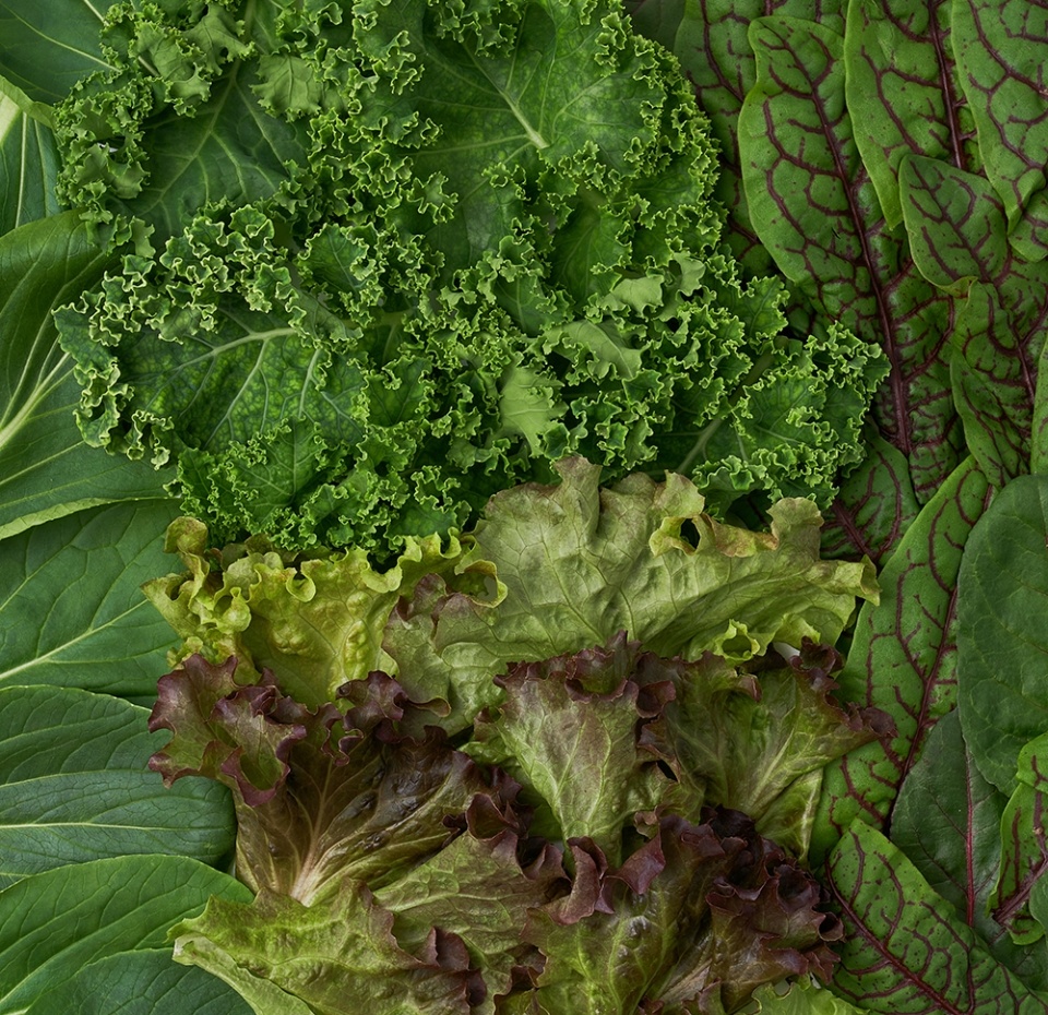 

Микс салатов Ferмы Премиум в срезе 75 г