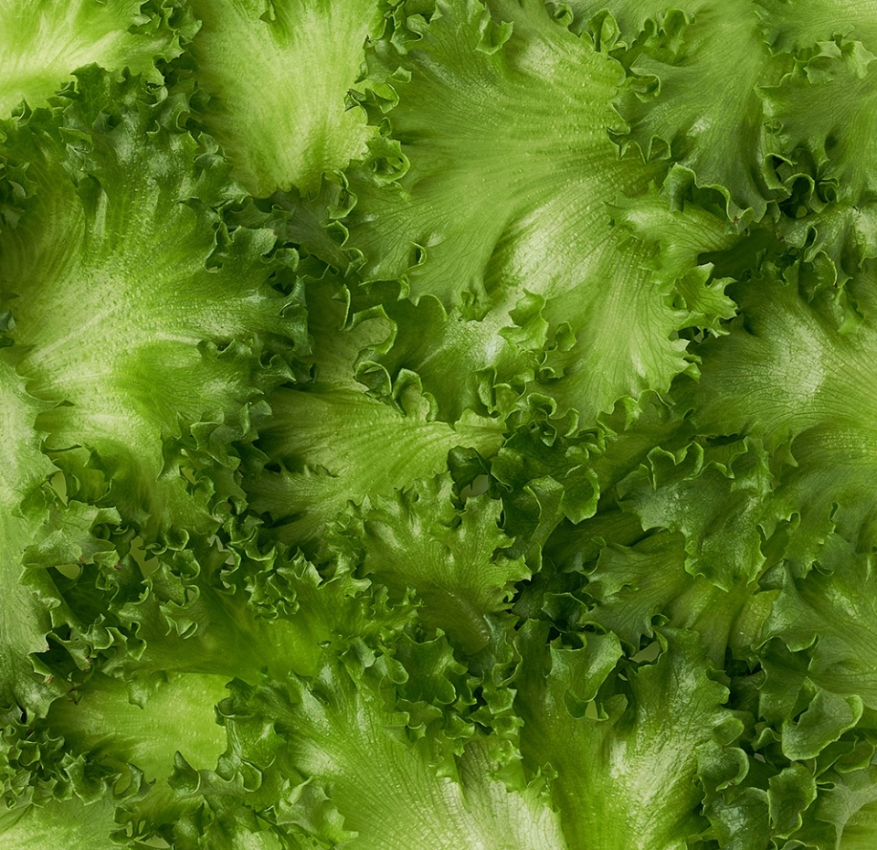 

Салат Айсберг Ferмы листовой в срезе 75 г