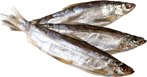 

Ряпушка вяленая Продсервис неразделанная вес