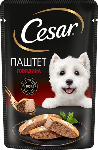 

Влажный корм Cesar для взрослых собак паштет с говядиной 80 г