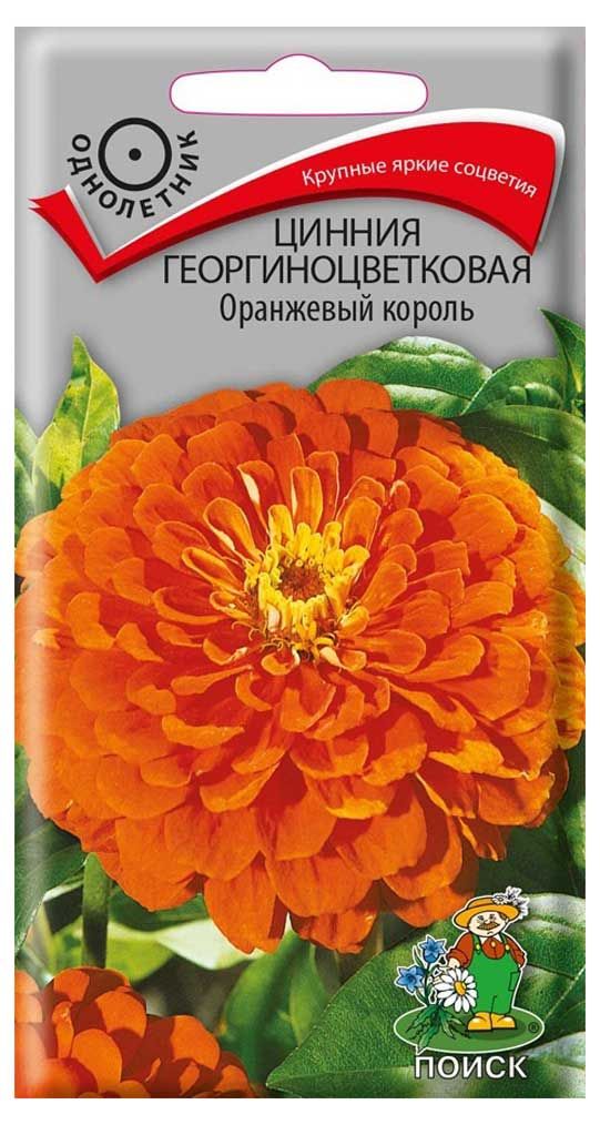 

Семена Поиск Цинния Георгиноцветковая Оранжевый король 0.4 г