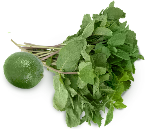 

Набор зелени для мохито 55 г