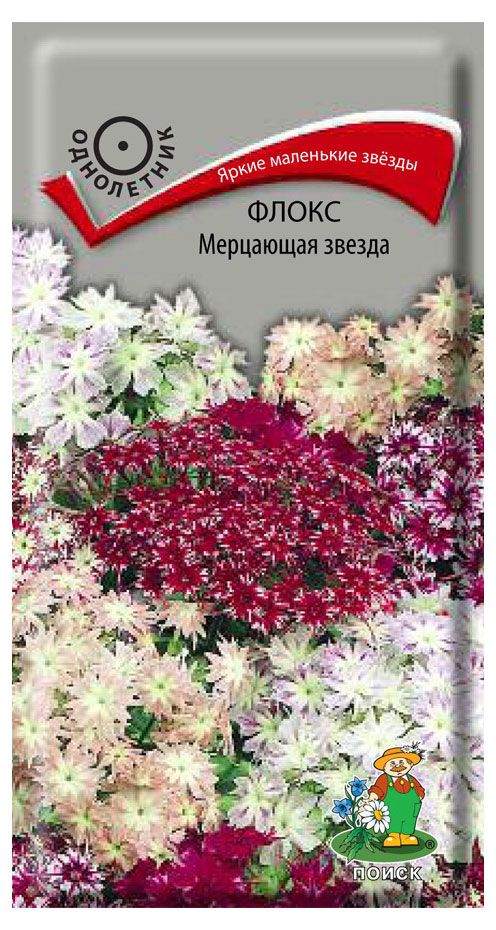 

Семена Поиск Флокс Мерцающая звезда В19 1 г