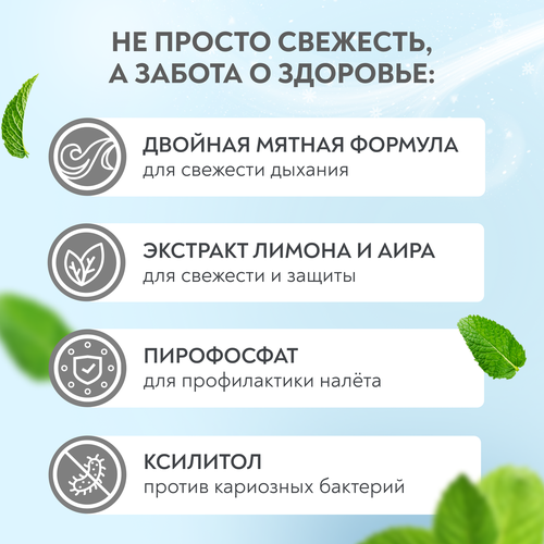 

Спрей для полости рта President Smokers свежая мята освежающий 15 мл