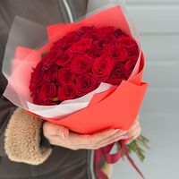 Изображение 8