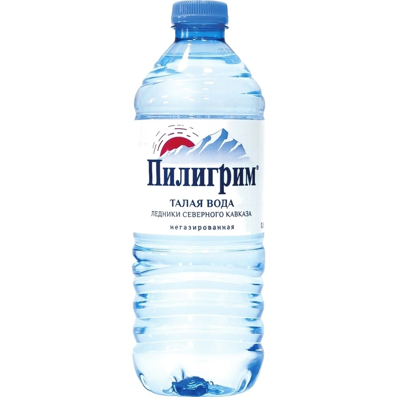 

Вода минеральная Пилигрим талая негазированная 500 мл
