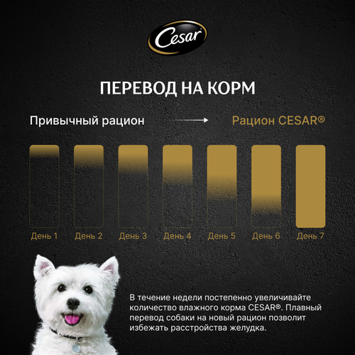 

Влажный корм Cesar для взрослых собак с говядиной, кроликом и шпинатом в соусе 85 г