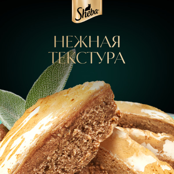 

Влажный корм для кошек Sheba паштет с курицей 75 г