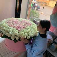 Изображение 13