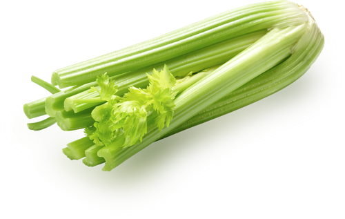 

Сельдерей свежий, весовой