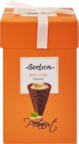 

Конфеты Sorbon Мини-рожок хрустящий с начинкой Арахис и воздушные зерна 200 г