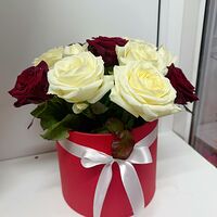 Изображение 1
