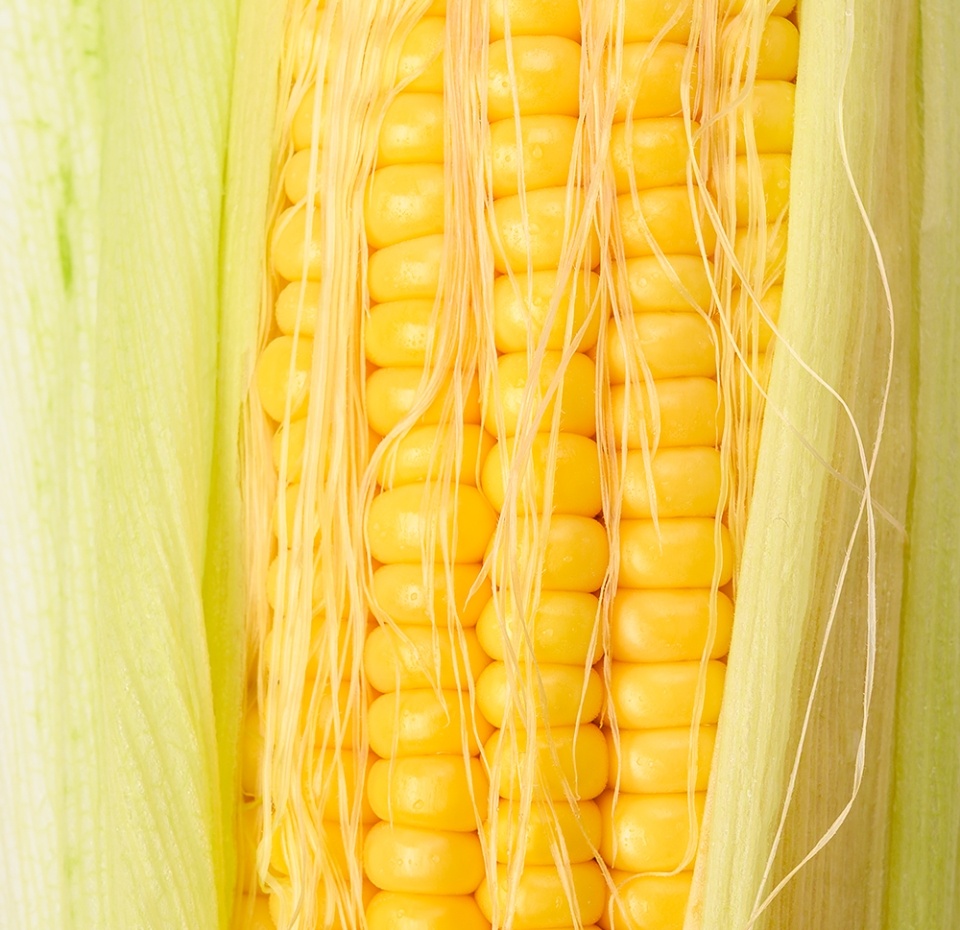 

Кукуруза молодая 2 шт. 1 кг