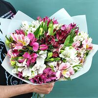 Изображение 2