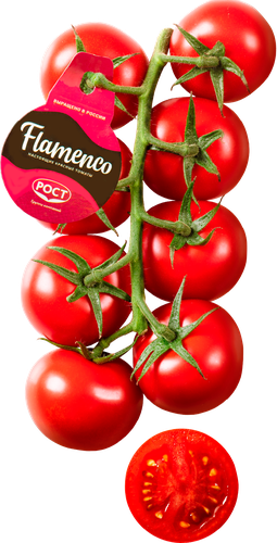 

Томаты коктейльные Flamenco на ветке вес