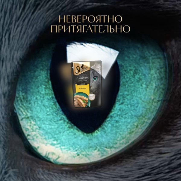 

Влажный корм для кошек Sheba паштет с курицей 75 г