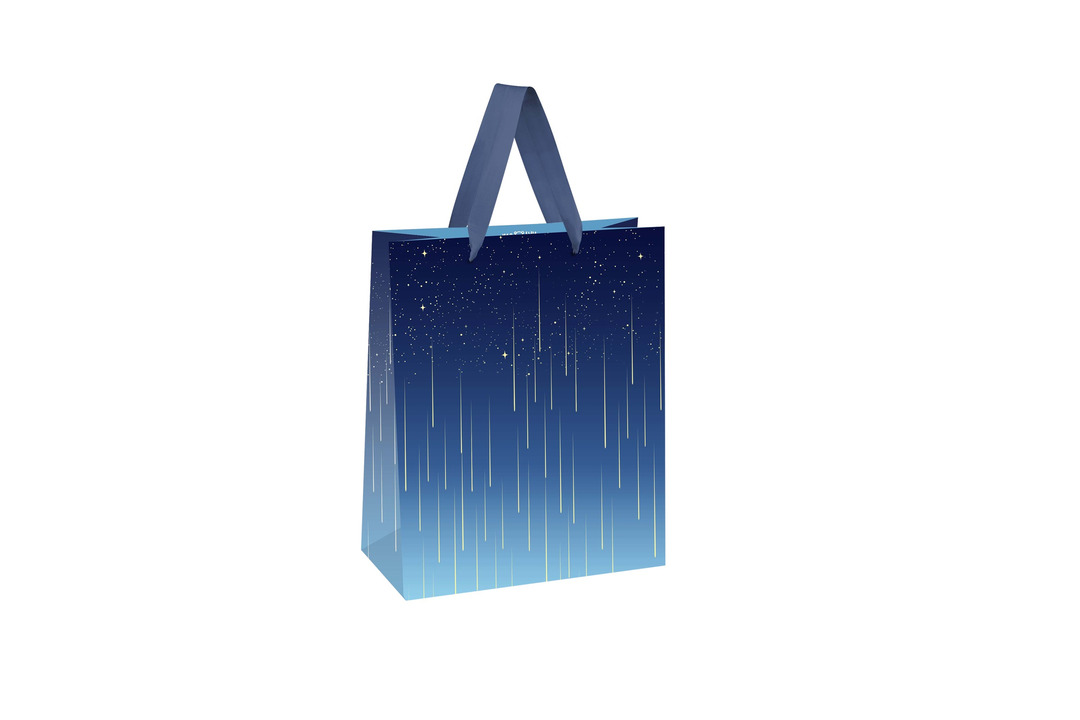 

Пакет подарочный Meshu Star rain 18 х 23 х 10 см