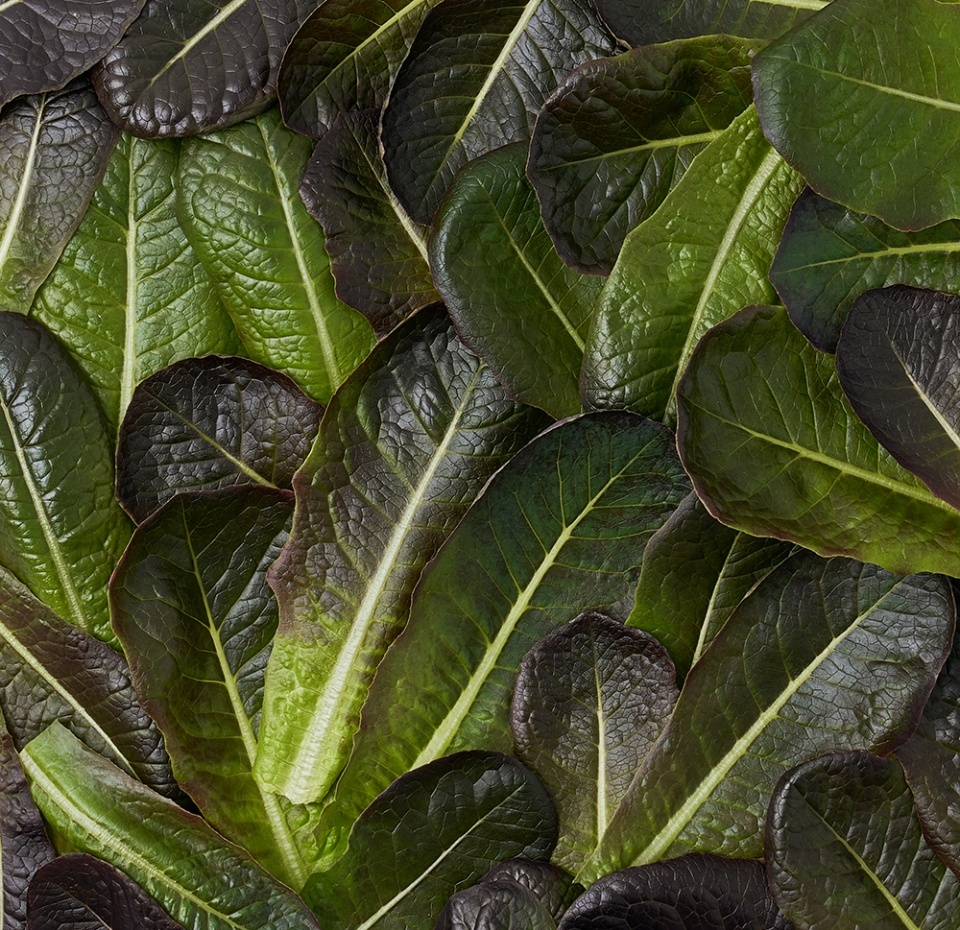 

Салат Романо Ferмы листовой в срезе 75 г