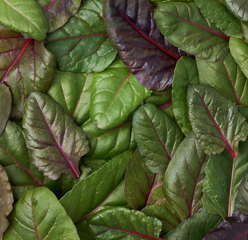 

Овощ листовой Ferмы Мангольд в срезе 75 г