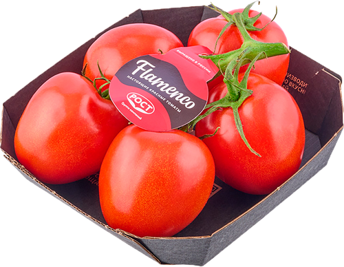 

Томаты Flamenco сливовидные красные 450 г