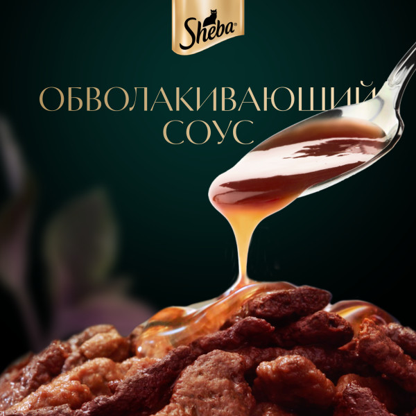 

Влажный корм для кошек Sheba Ломтики в соусе с говядиной и кроликом 75 г