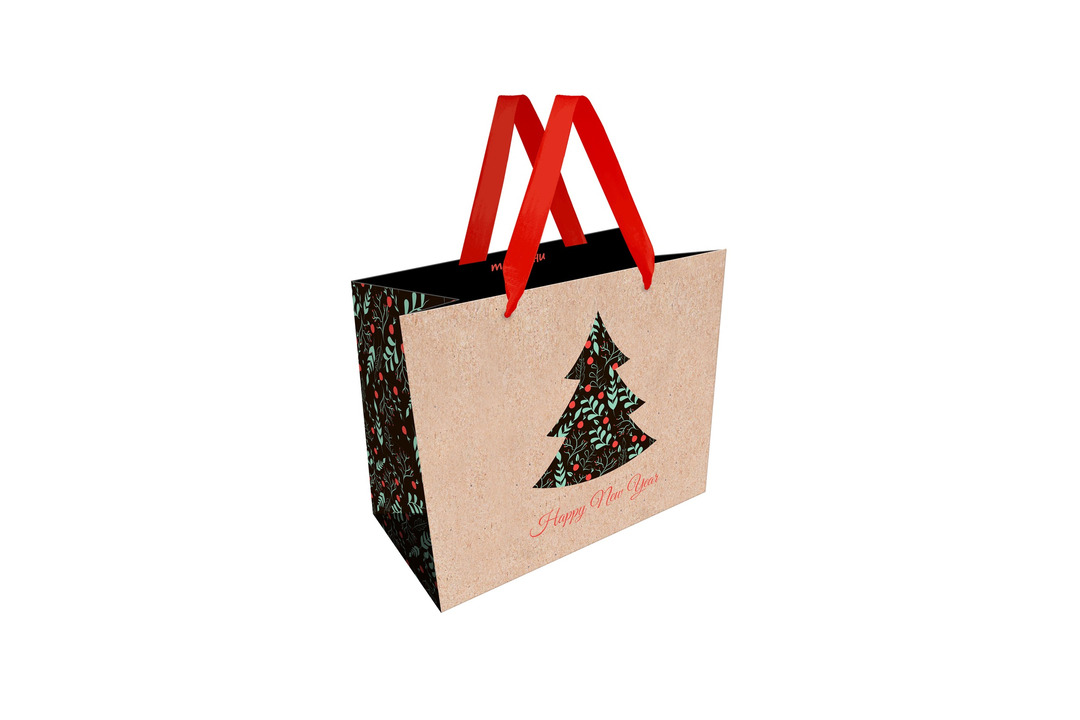 

Пакет подарочный Meshu Tree 23 х 18 х 10 см крафт