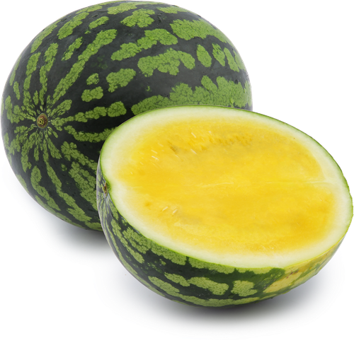 

Арбуз желтый без косточек вес