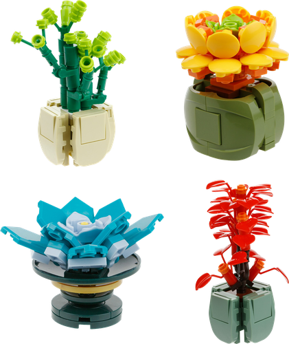 

Игрушка 1Toy Blockformers Цветы пустыни в ассортименте 24 вида, Арт. Т23228