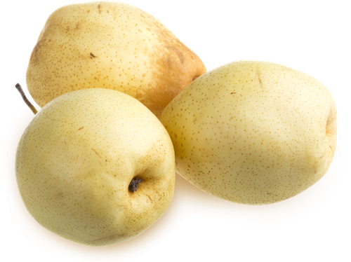 

Груша Вермонт вес