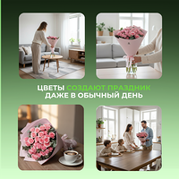Изображение 11