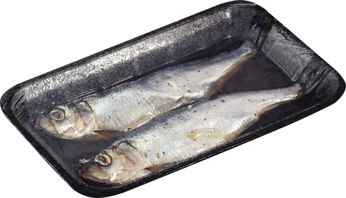 

Салака Океан неразделанная в пряно-солевой заливке вес