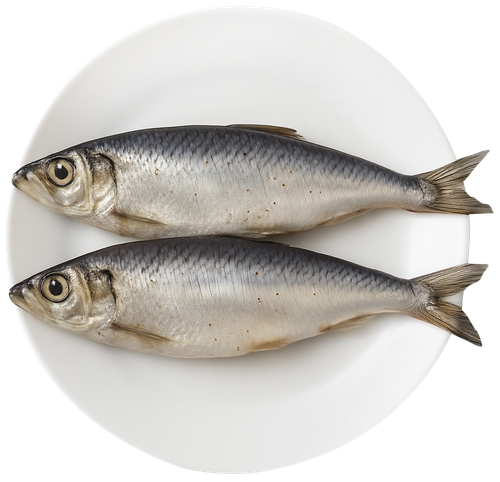 

Салака Океан неразделанная в пряно-солевой заливке вес