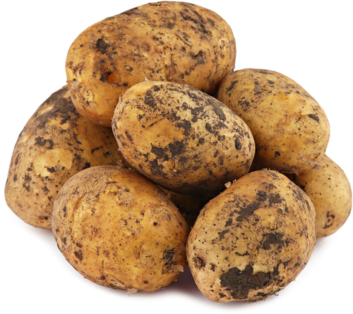 

Картофель молодой белый вес