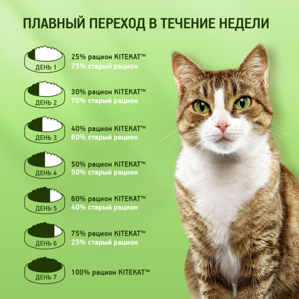 

Влажный корм для кошек Kitekat сочная говядина в соусе 85 г