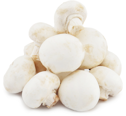 

Грибы шампиньоны весовые