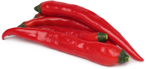 

Перец Чили красный 100 г