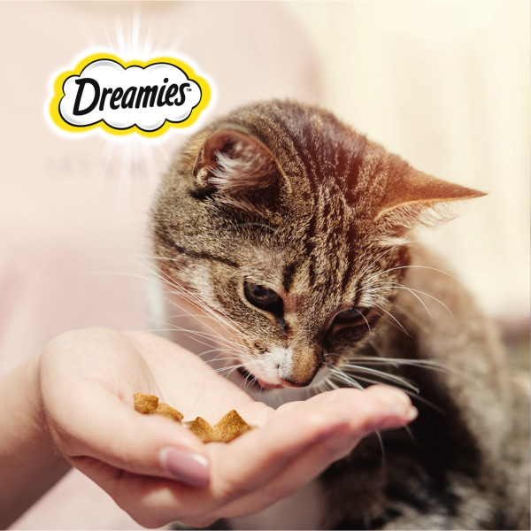 

Лакомство для кошек Dreamies подушечки с лососем 60 г