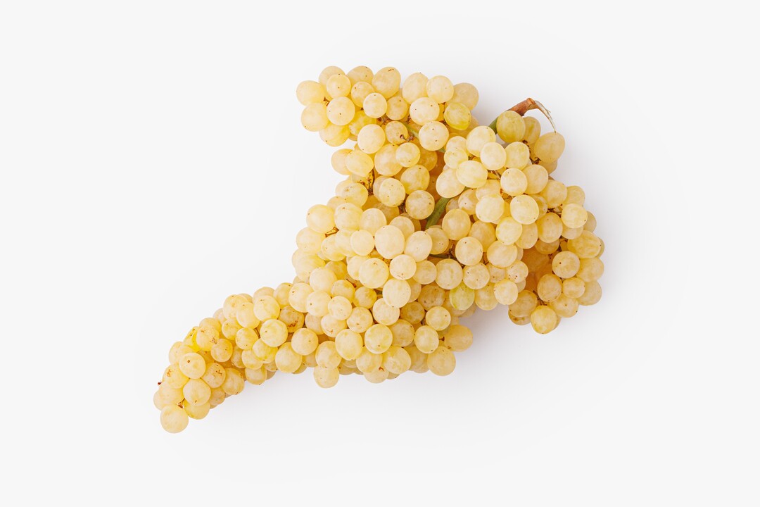 

Виноград Кишмиш белый вес