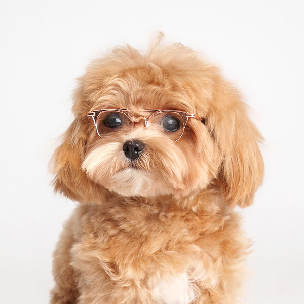 Очки ретро Rurri