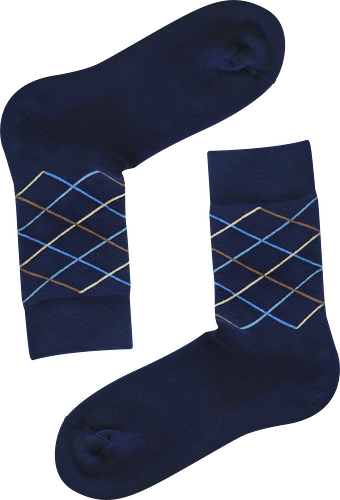 Носки мужские Брестские Arctic рис. 552 темно-синий 25-29