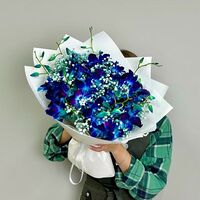 Изображение 11