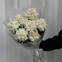 Изображение 3