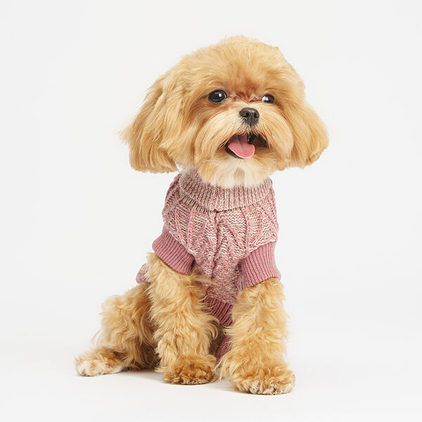 Свитер для собак Rurri розовый XS