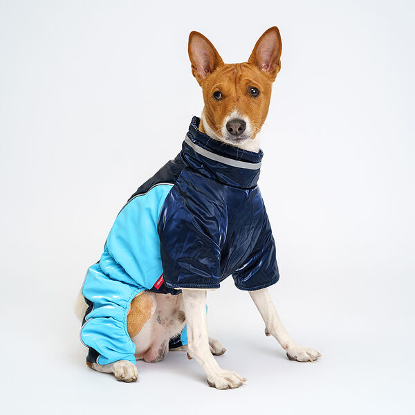 Комбинезон на замке для собак Petmax, 2XL, синий