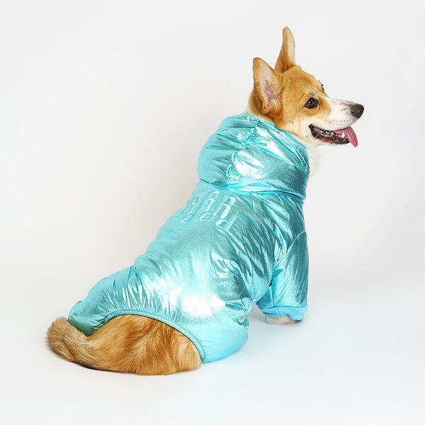 Комбинезон для собак Rurri, 2XL, голубой