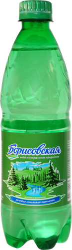 

Вода Борисовская минеральная лечебно-столовая газированная 0.5 л