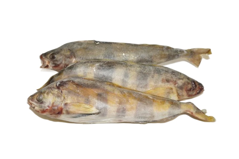 

Рыба Лента Fresh Терпуг свежемороженная вес