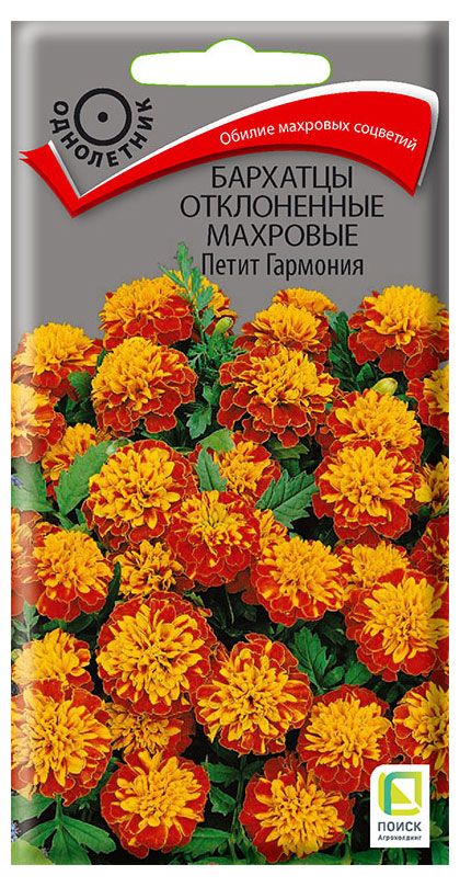 

Семена ПОИСК Бархатцы отклоненные махровые Петит Гармония, 0,4г