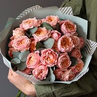 Изображение 4